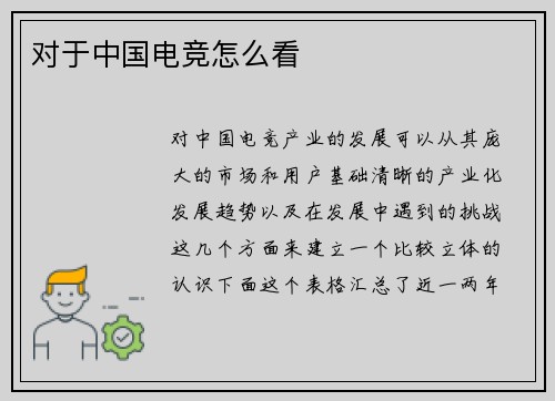 对于中国电竞怎么看